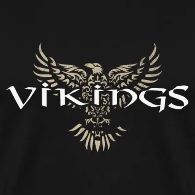 vikings-raven-maenner-premium-t-shirt_design_1